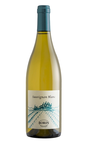 Sauvignon Blanc 2024